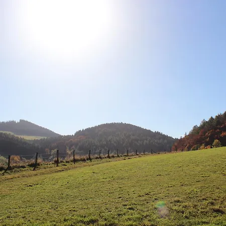 Emde Willingen (Upland)