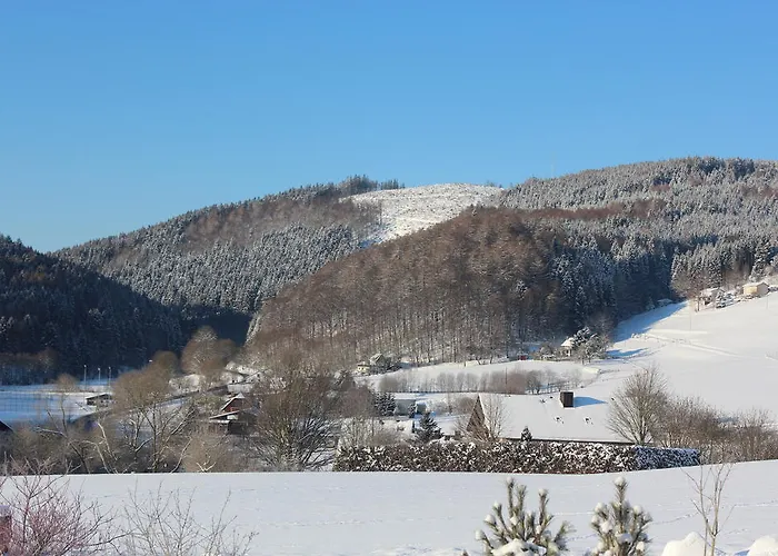 Appartement Emde Willingen (Upland)