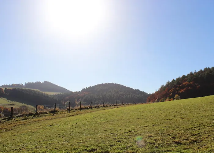 Emde Willingen (Upland)