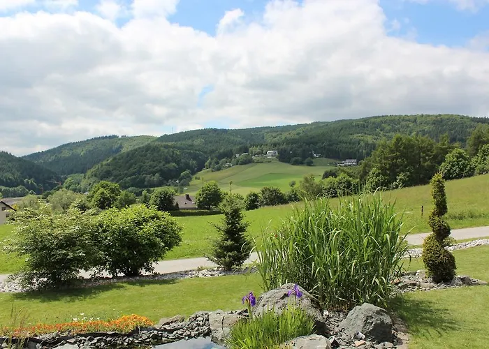 Emde Appartement Willingen (Upland)